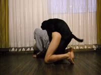 Black dog fucking a lady in a hoodie